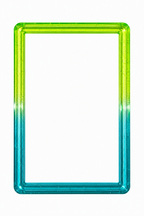 Protector premium cartas gradeadas BGS Selva